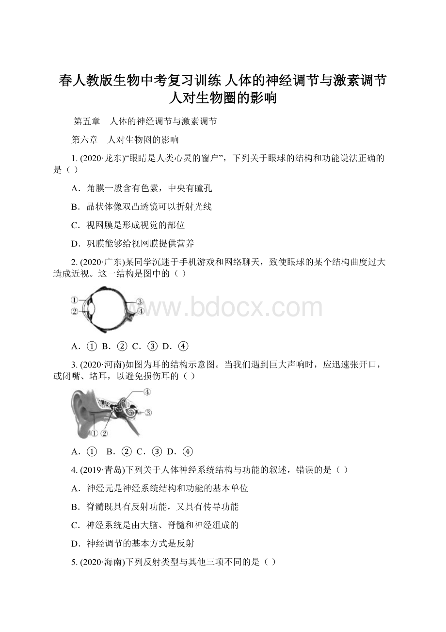 春人教版生物中考复习训练 人体的神经调节与激素调节人对生物圈的影响.docx_第1页