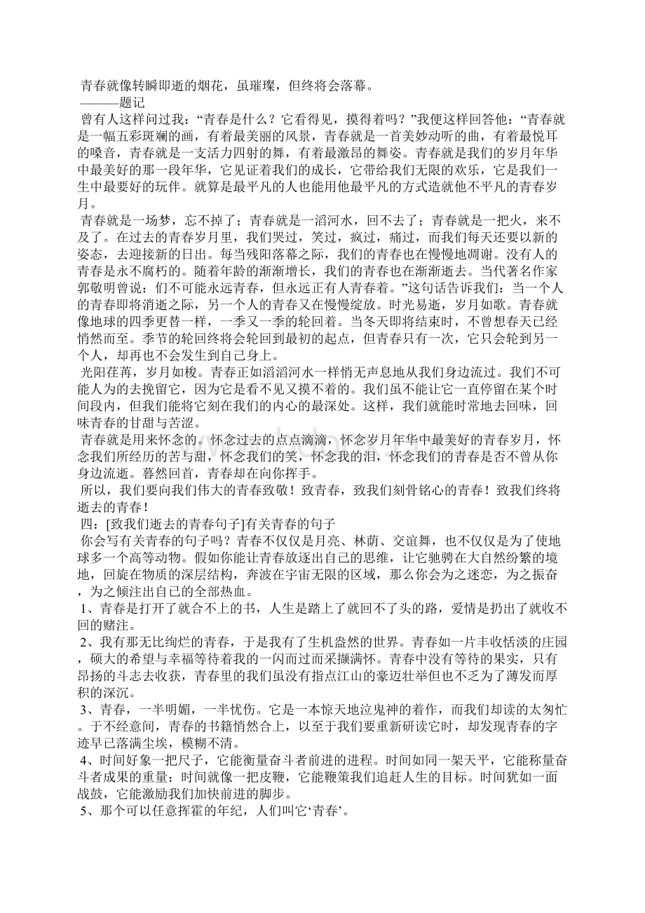 致我们逝去的青春句子致我们逝去的青春句子6篇.docx_第3页