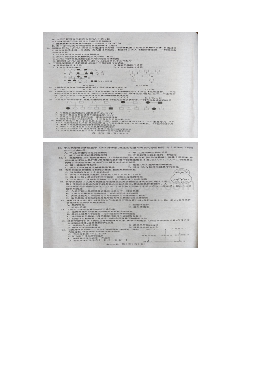 学年高一生物下学期期末考试试题扫描版 新人教版.docx_第3页