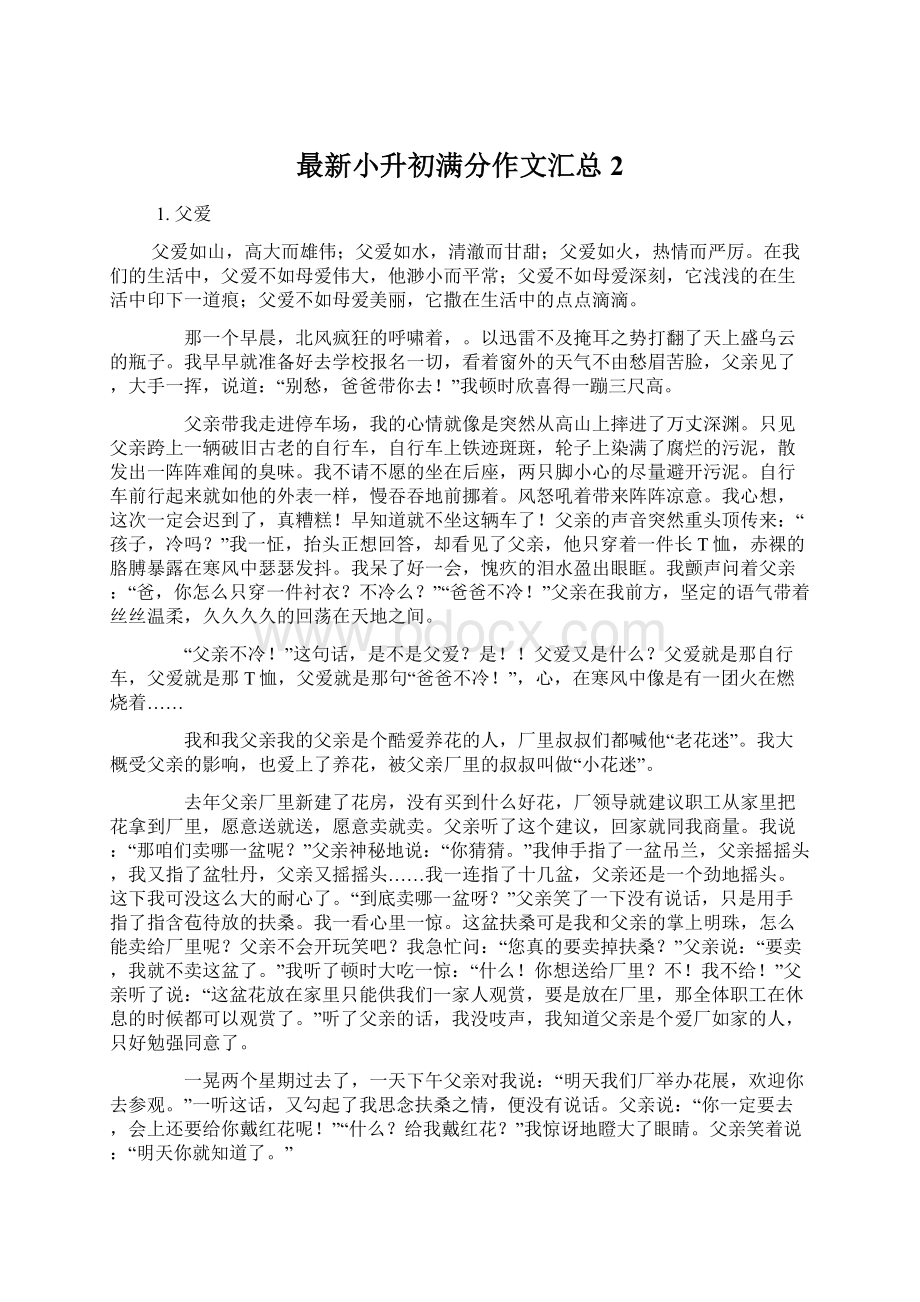 最新小升初满分作文汇总2Word格式文档下载.docx_第1页