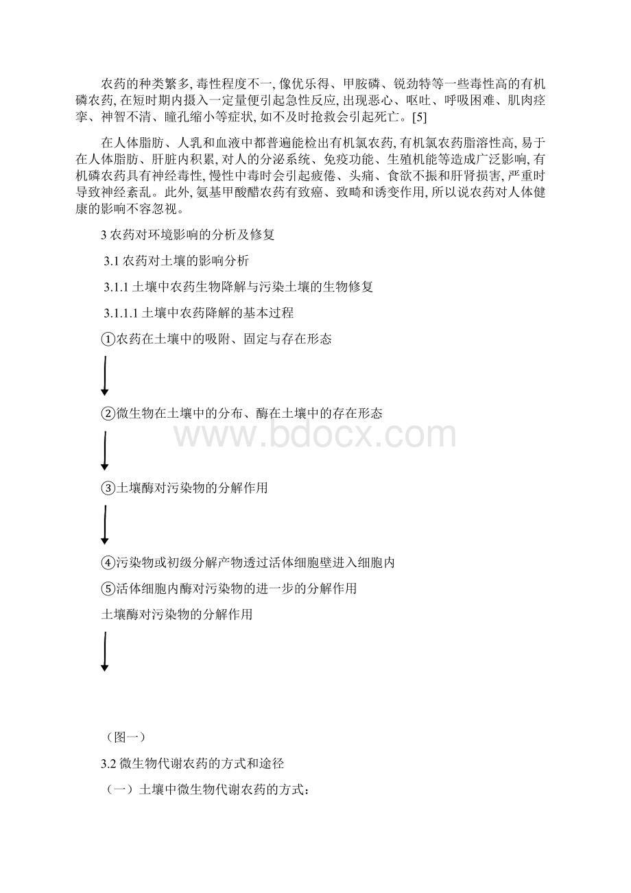 农药对环境的影响及研究进展环工1103Word下载.docx_第3页