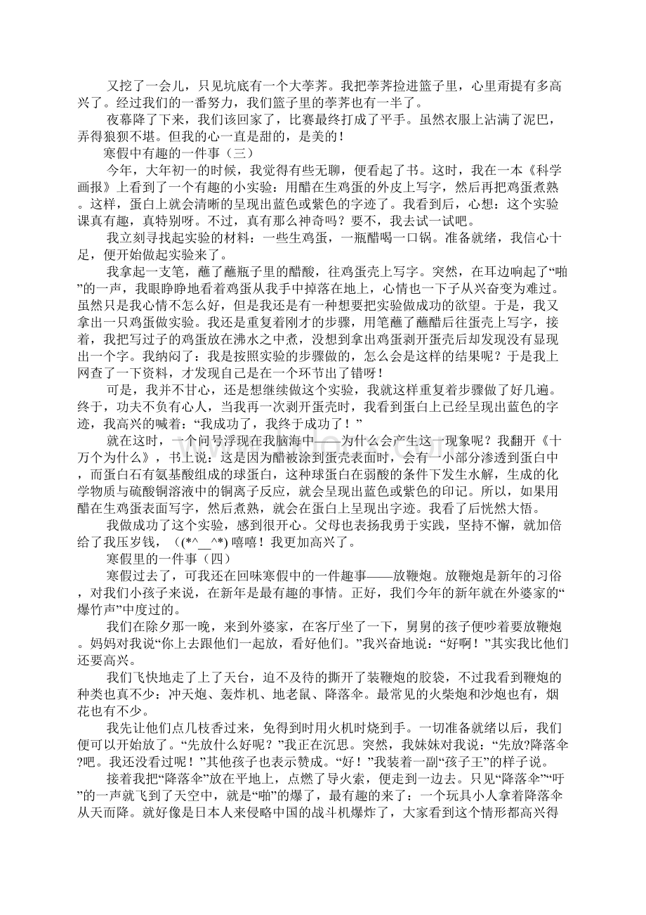 寒假中的一件趣事.docx_第3页