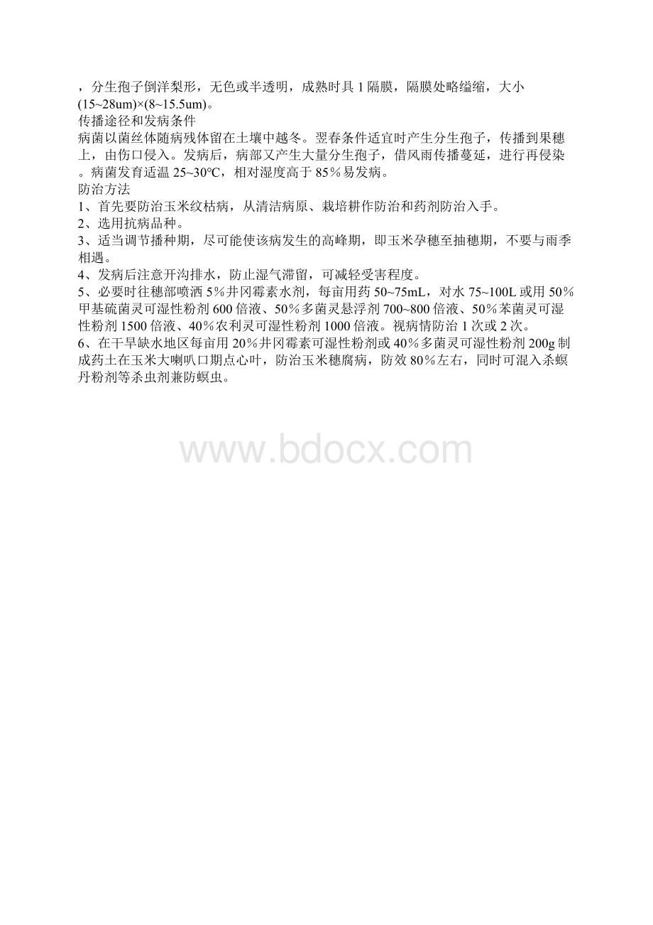 玉米主要病害及防治方法.docx_第3页