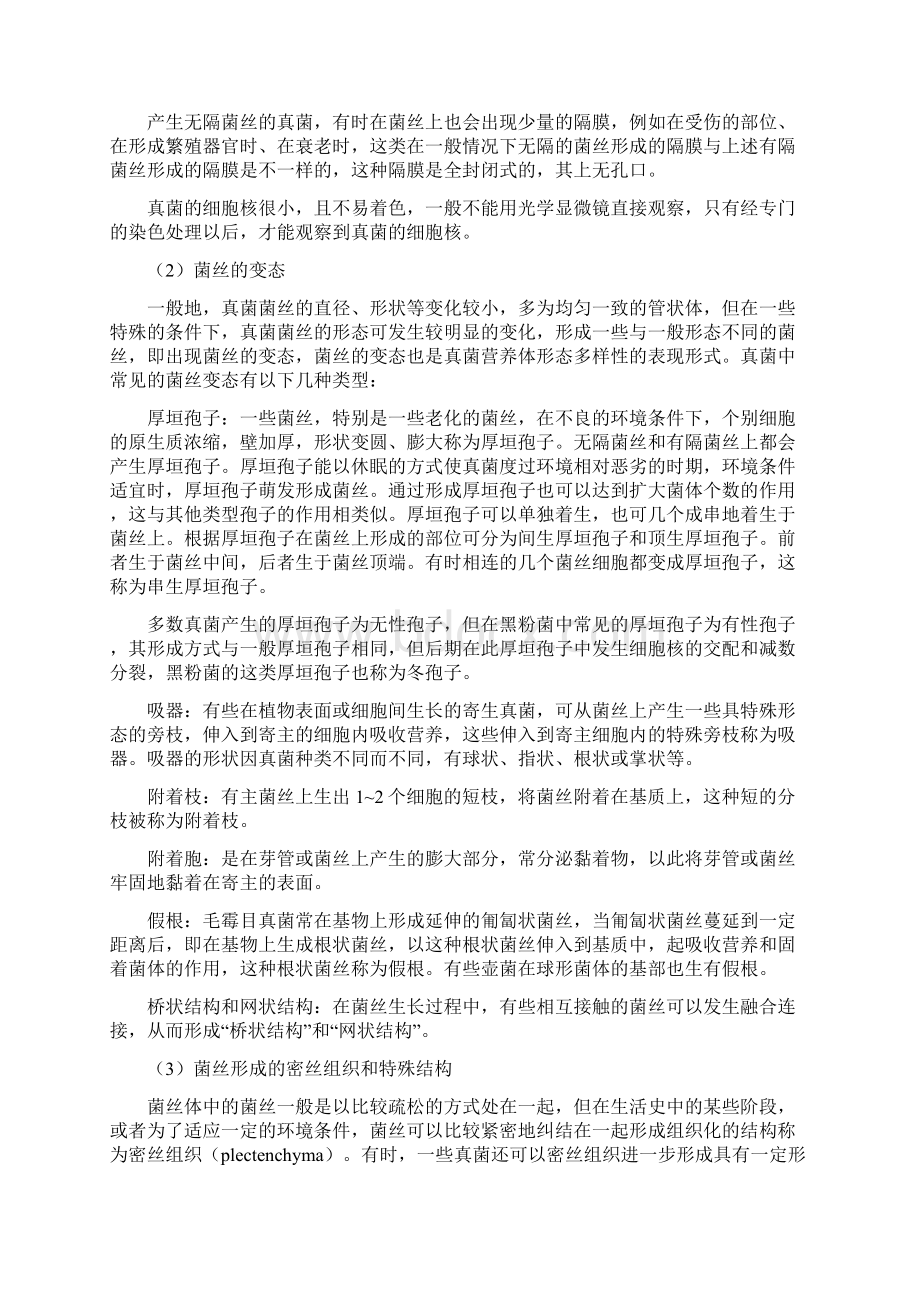 真菌的基本特征与分类体系Word文档格式.docx_第3页