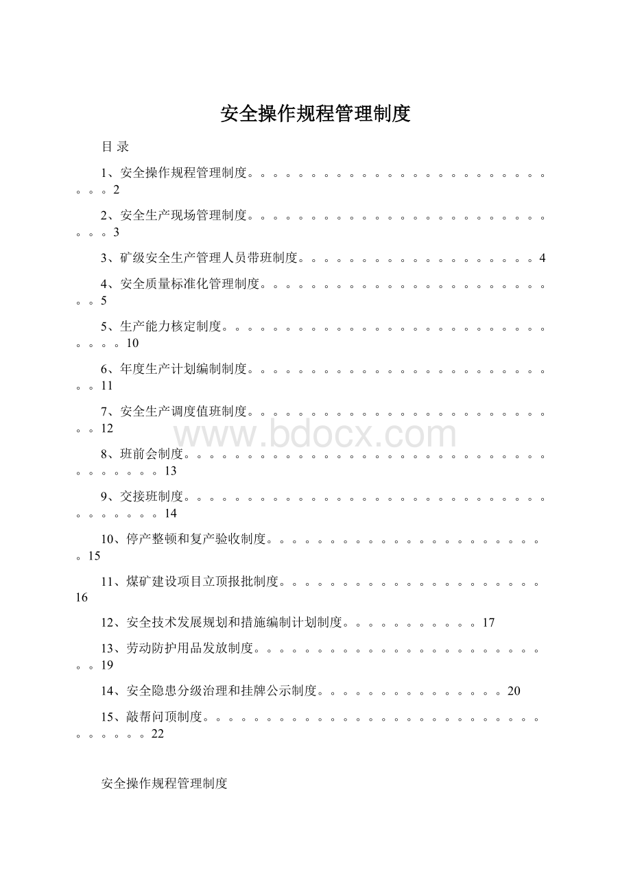 安全操作规程管理制度文档格式.docx