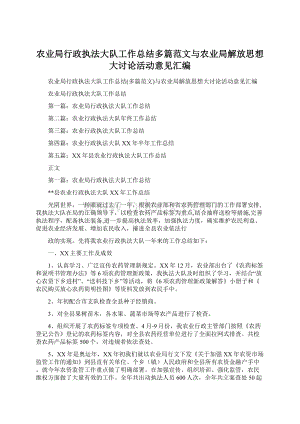 农业局行政执法大队工作总结多篇范文与农业局解放思想大讨论活动意见汇编Word文档下载推荐.docx