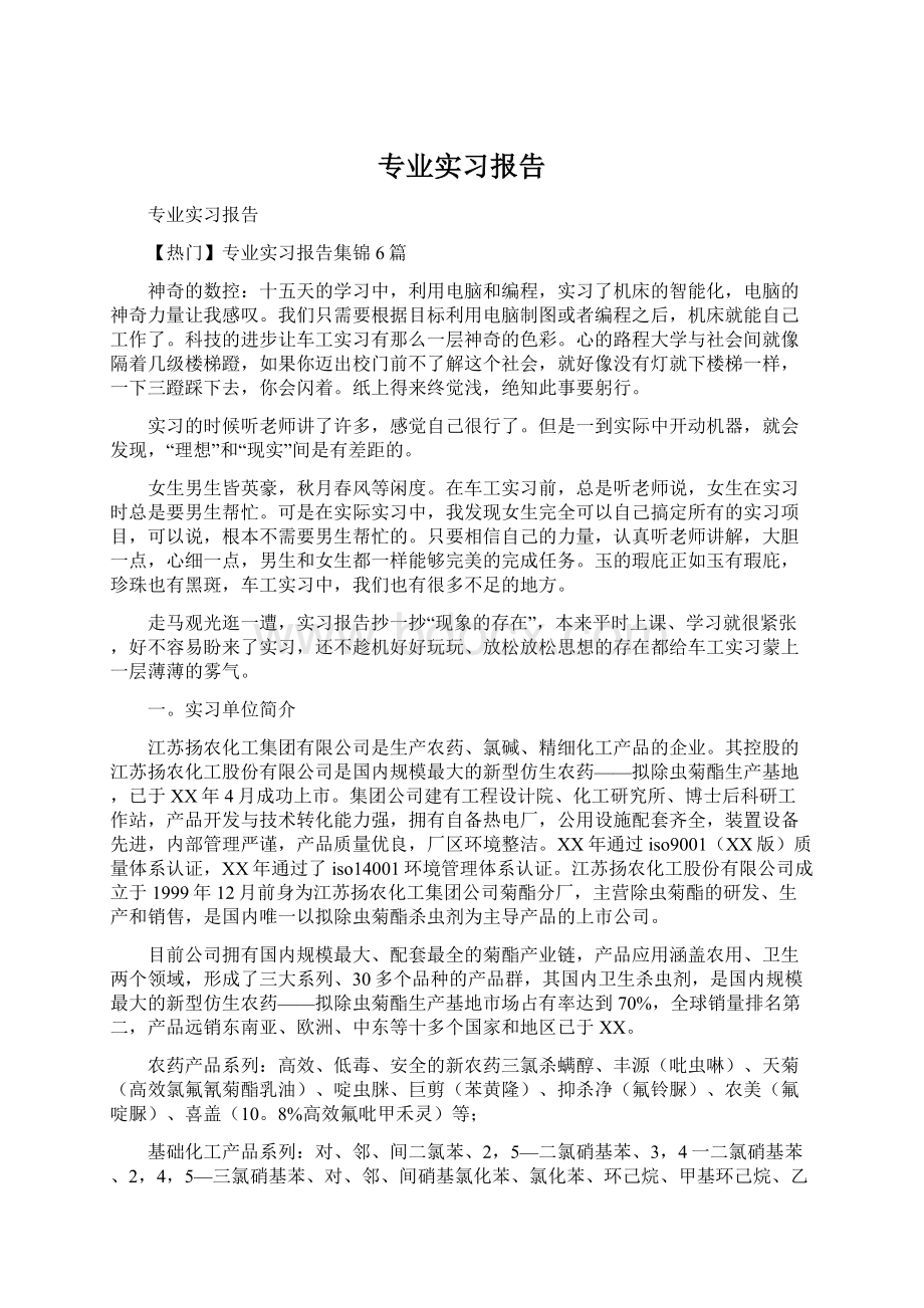 专业实习报告文档格式.docx