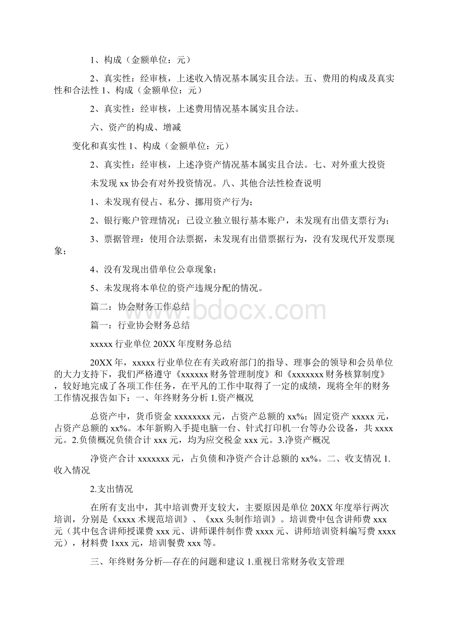 协会财务收支情况报告Word文档格式.docx_第2页