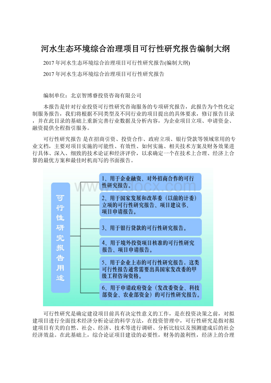 河水生态环境综合治理项目可行性研究报告编制大纲Word文档格式.docx_第1页