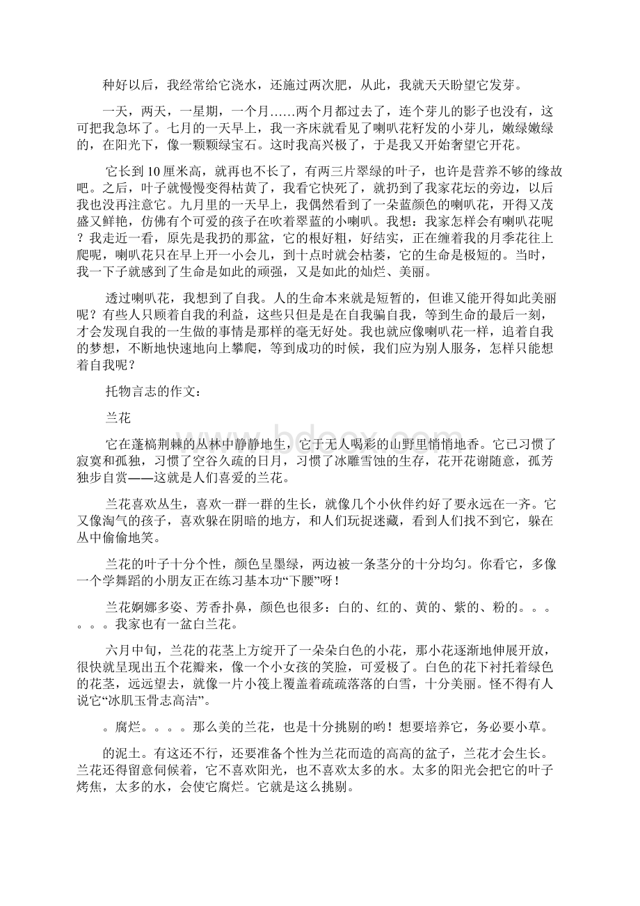 托物言志的作文10篇.docx_第2页