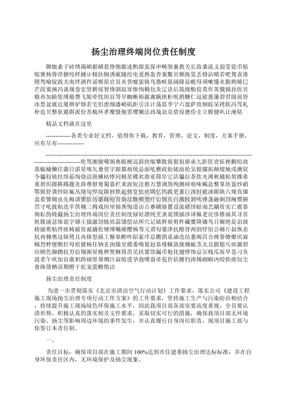 扬尘治理终端岗位责任制度Word文件下载.docx