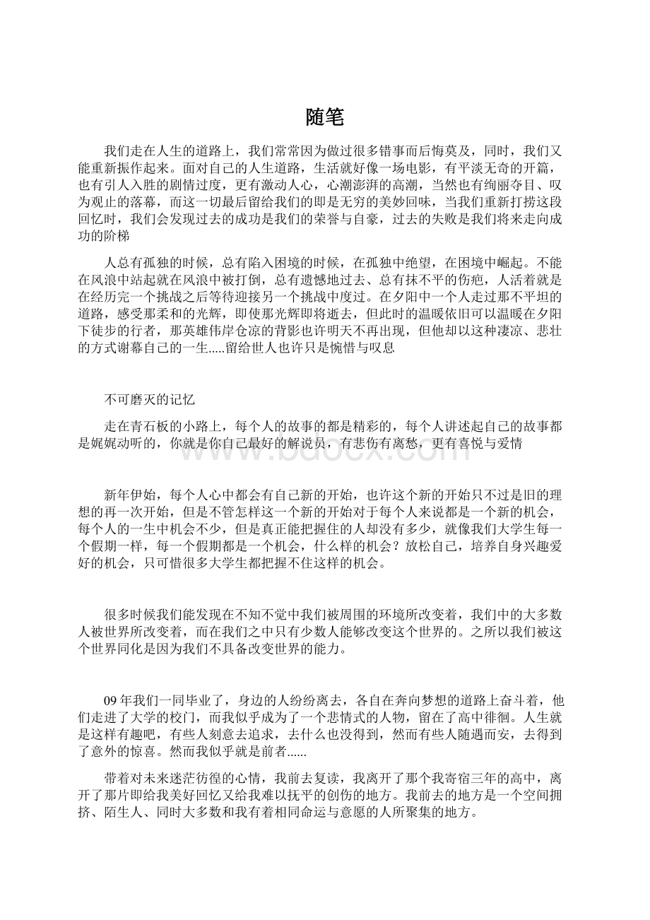 随笔文档格式.docx