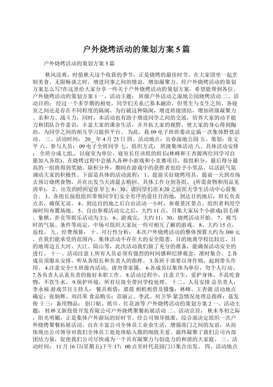 户外烧烤活动的策划方案5篇文档格式.docx