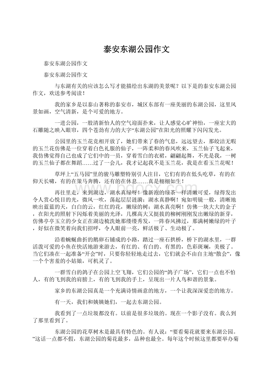 泰安东湖公园作文Word文档格式.docx_第1页