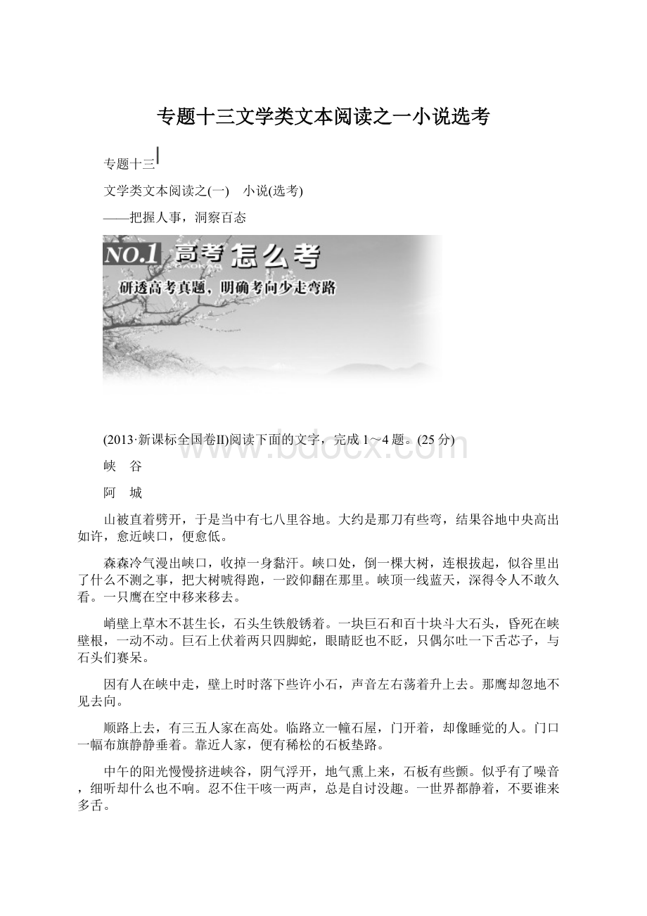 专题十三文学类文本阅读之一小说选考.docx