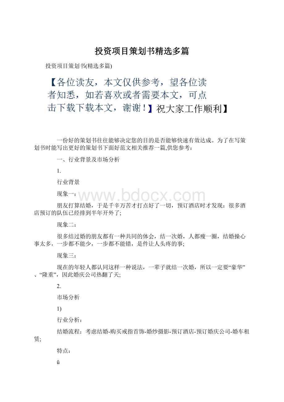 投资项目策划书精选多篇文档格式.docx