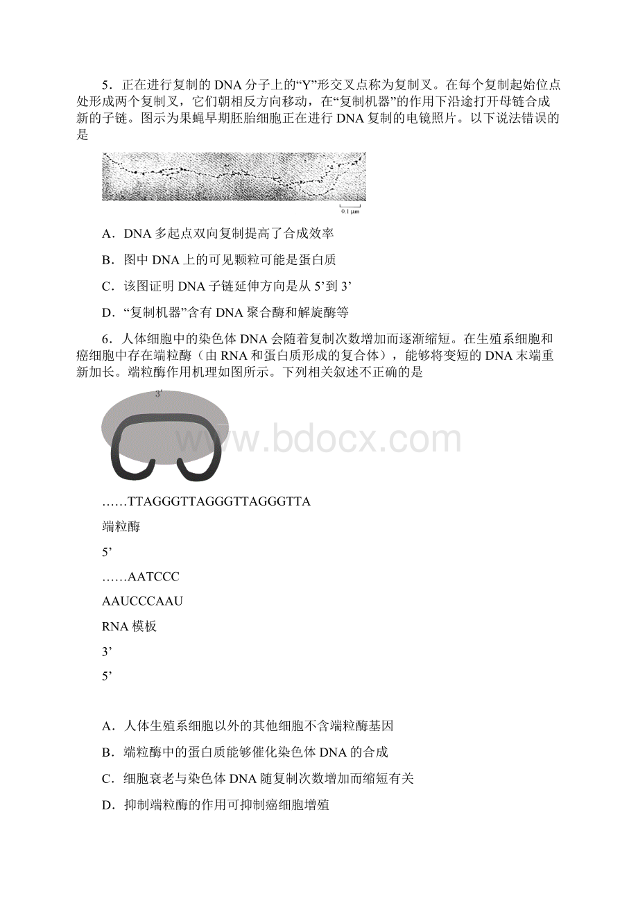 北京市西城区届高三生物上学期期末考试试题.docx_第2页