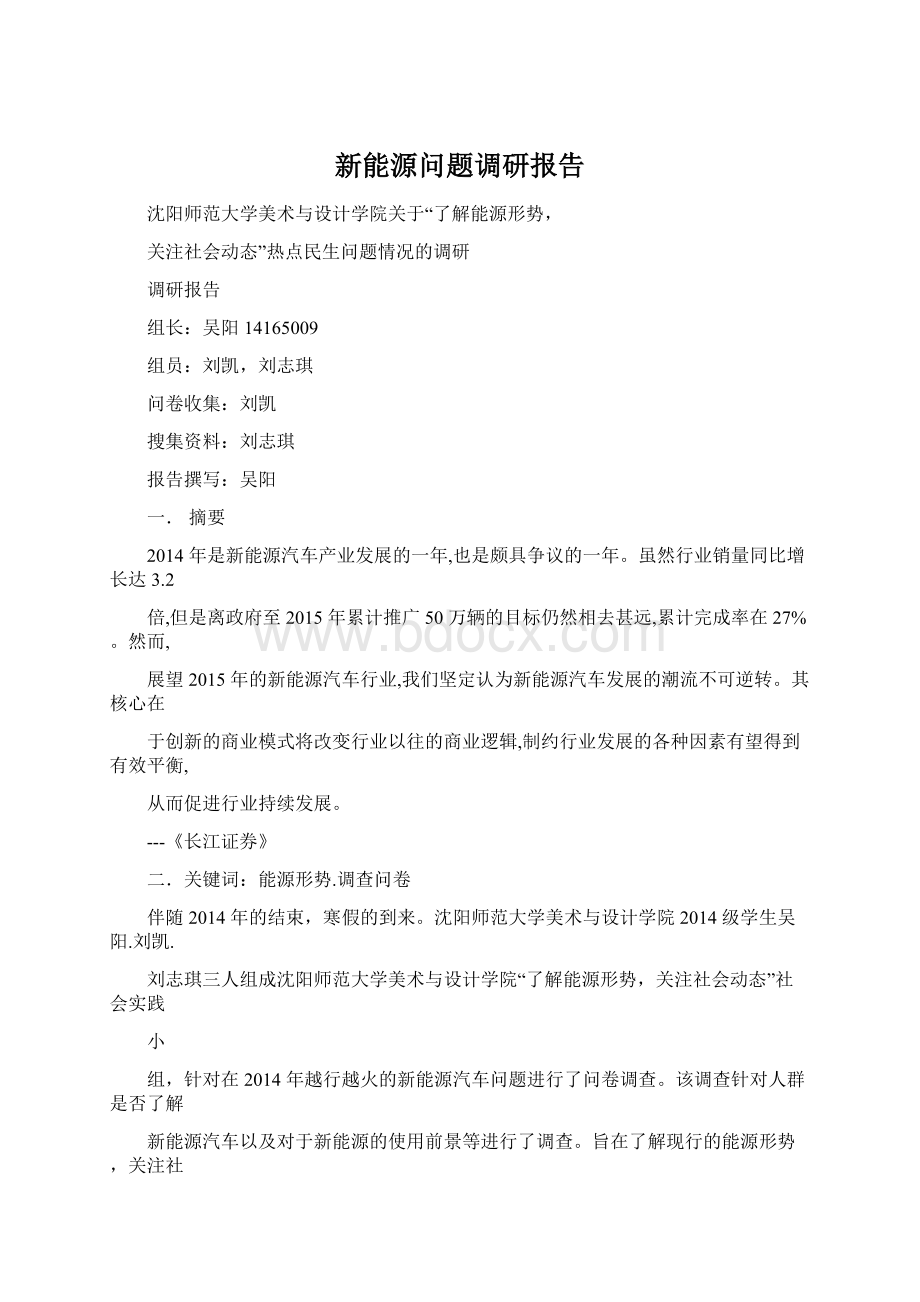 新能源问题调研报告.docx