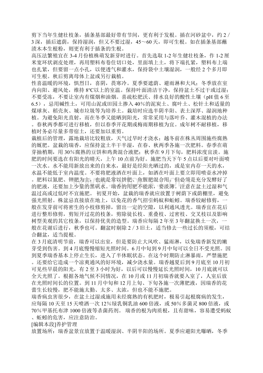 金边瑞香的养殖.docx_第2页