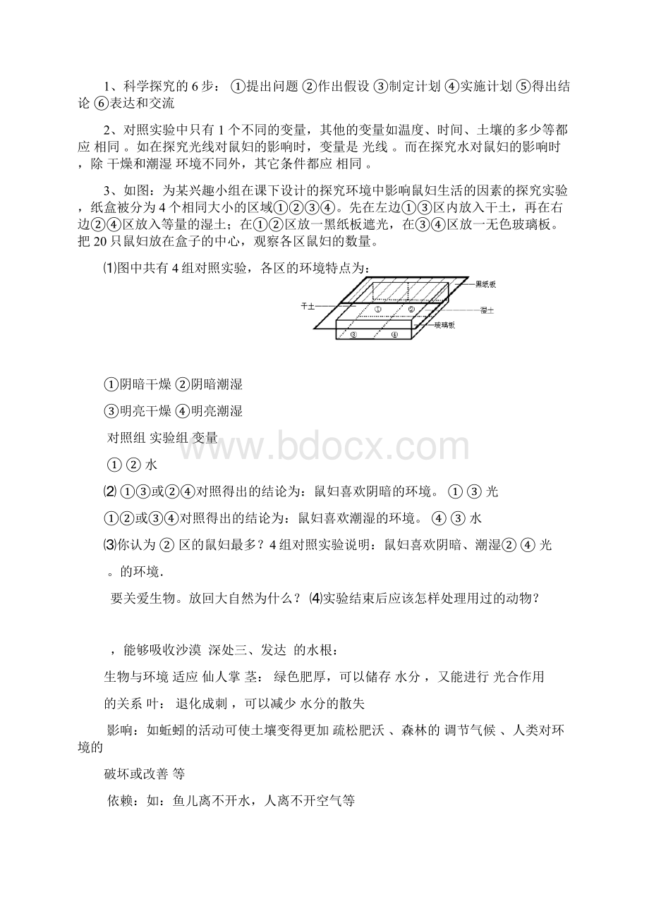 七年级生物上册 复习学案 人教新课标版.docx_第2页