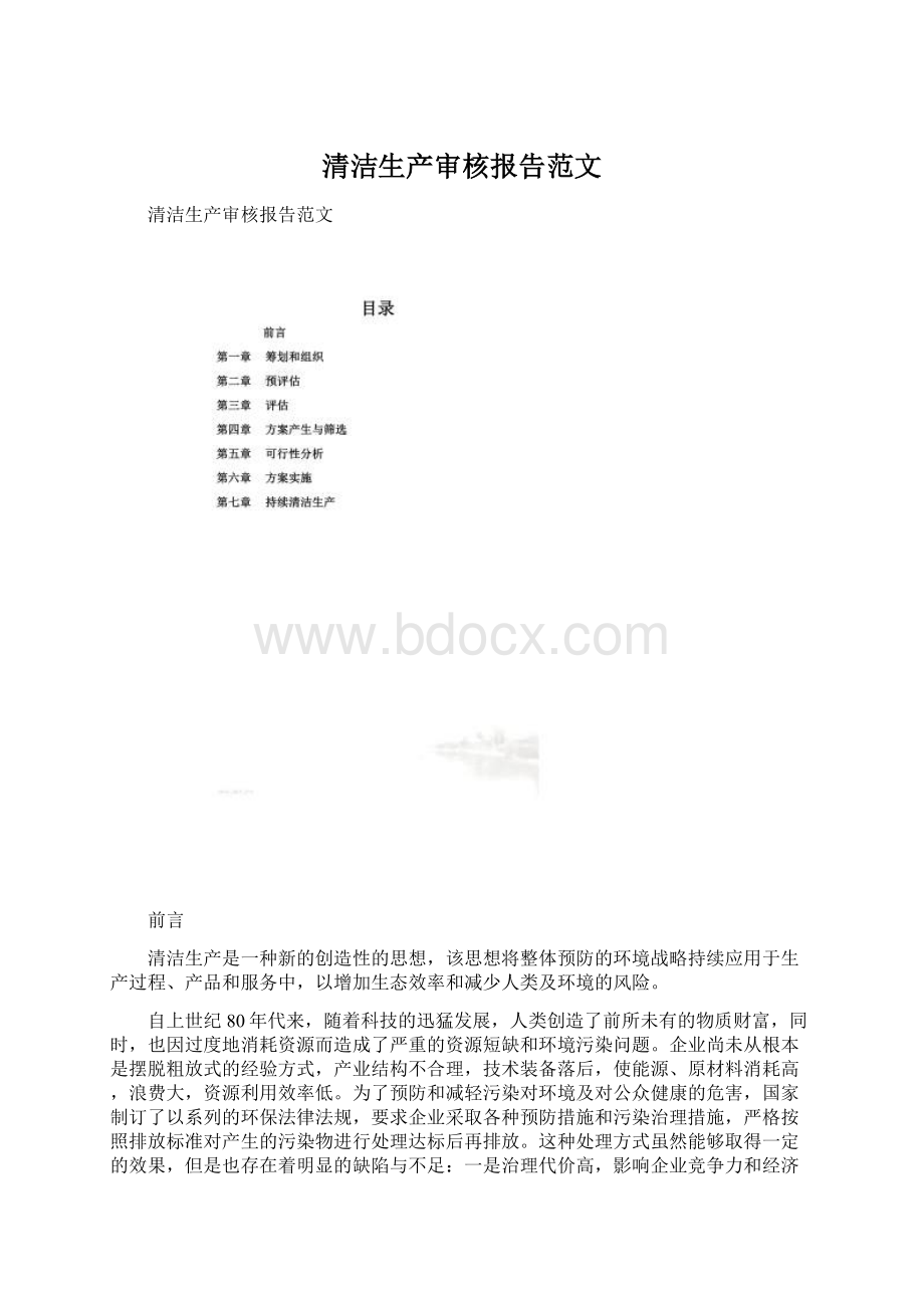 清洁生产审核报告范文.docx