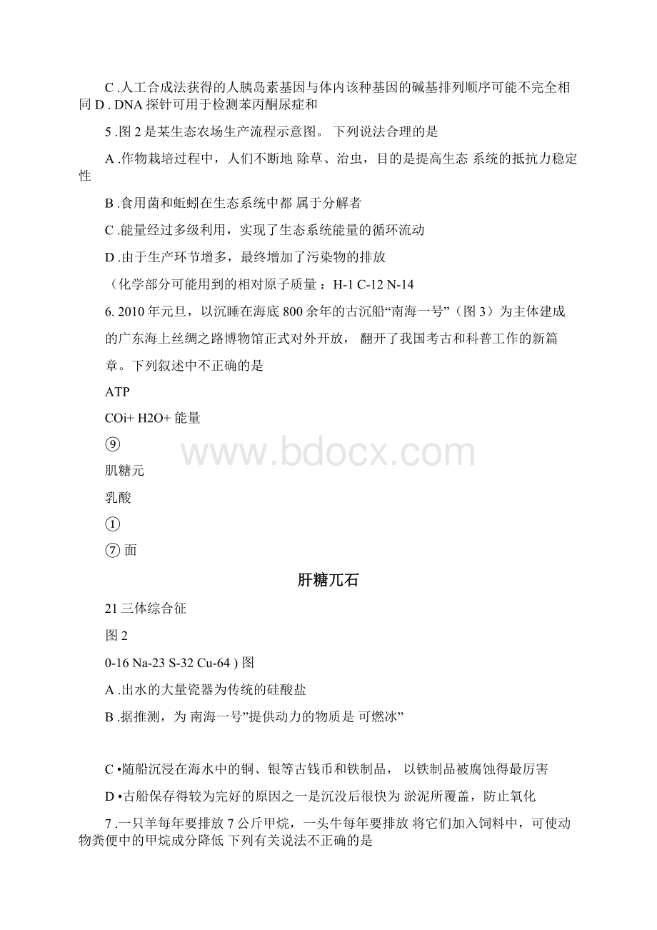 广西梧州市届高三第一次模拟测试理综Word格式文档下载.docx_第2页