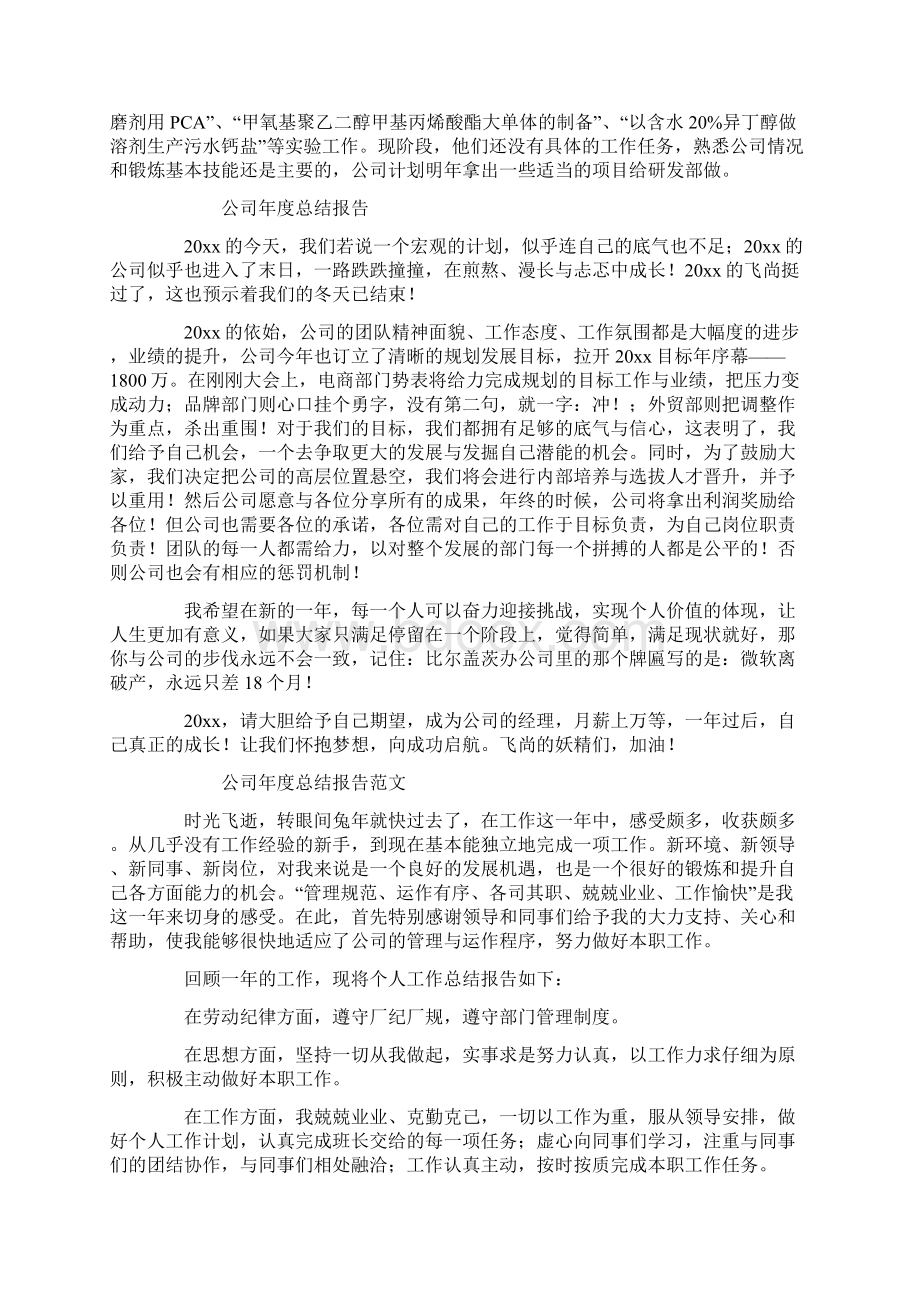 年度总结报告大全.docx_第3页