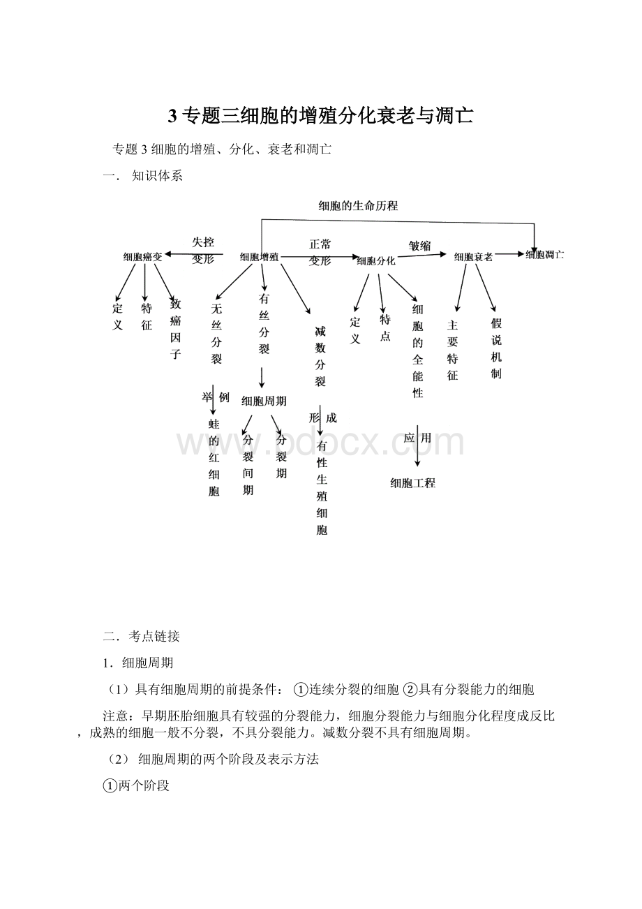 3专题三细胞的增殖分化衰老与凋亡Word文档下载推荐.docx