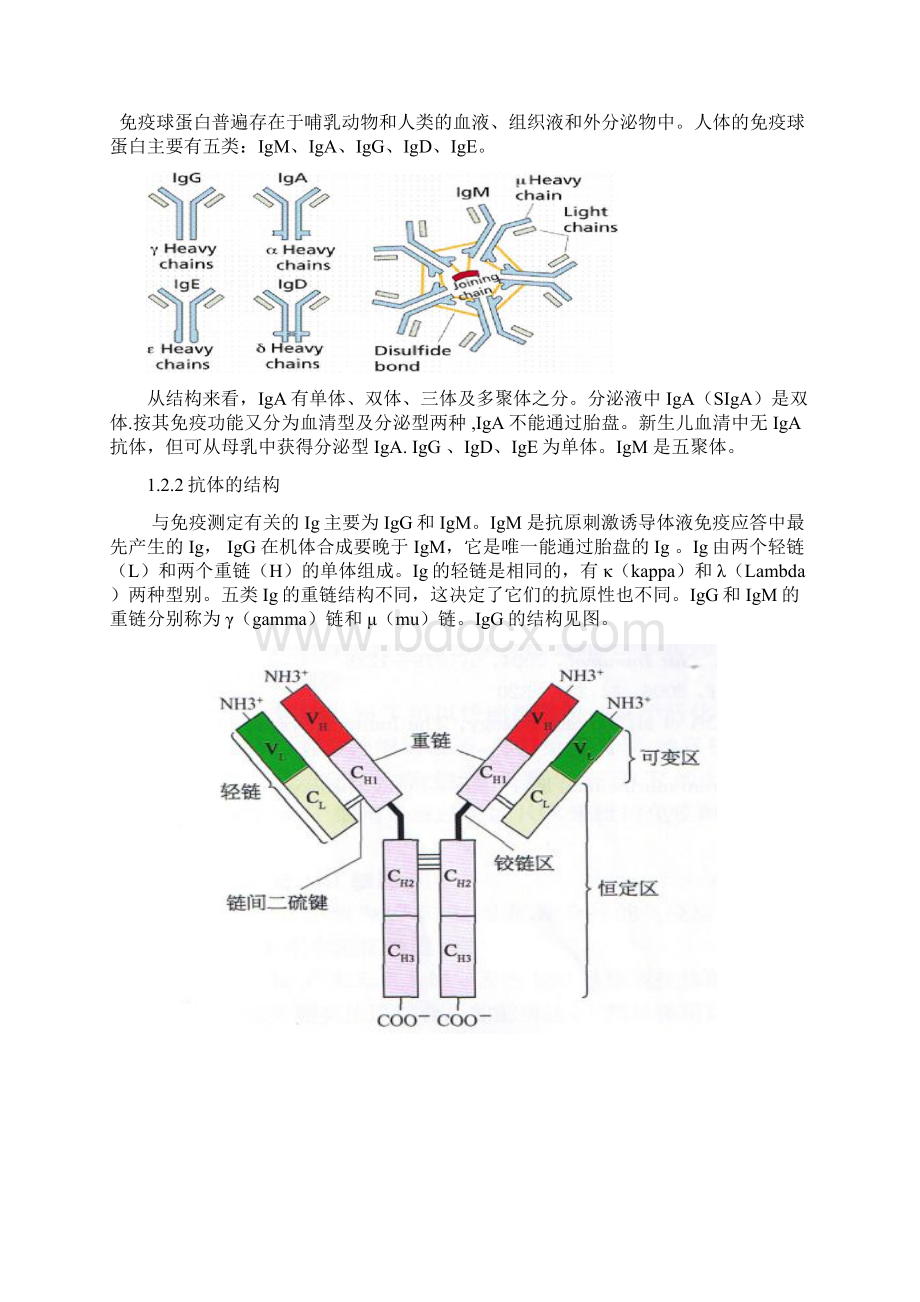 免疫基础知识.docx_第2页