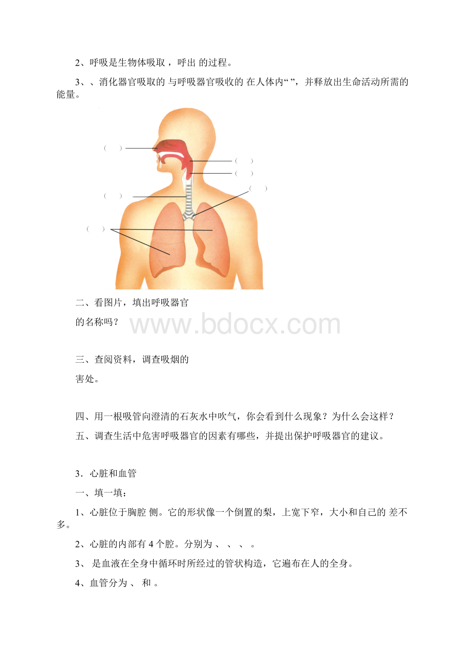 最新青岛版五年级下册科学随课练习题及答A.docx_第2页