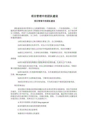 项目管理中的团队建设Word格式.docx