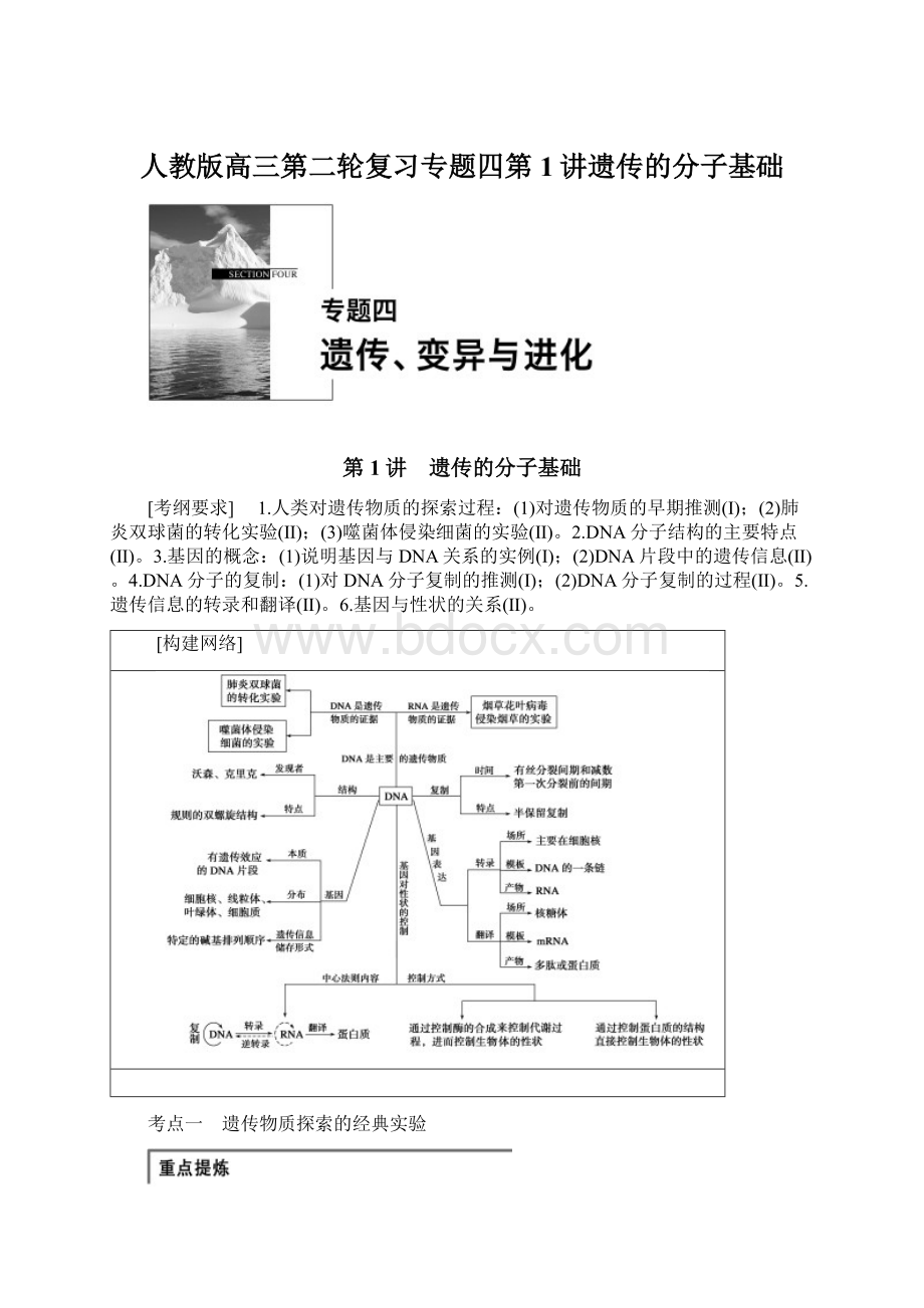 人教版高三第二轮复习专题四第1讲遗传的分子基础.docx