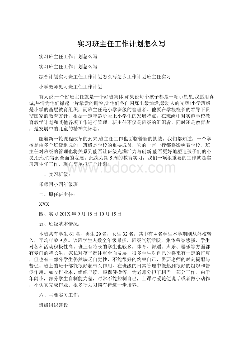 实习班主任工作计划怎么写Word格式文档下载.docx