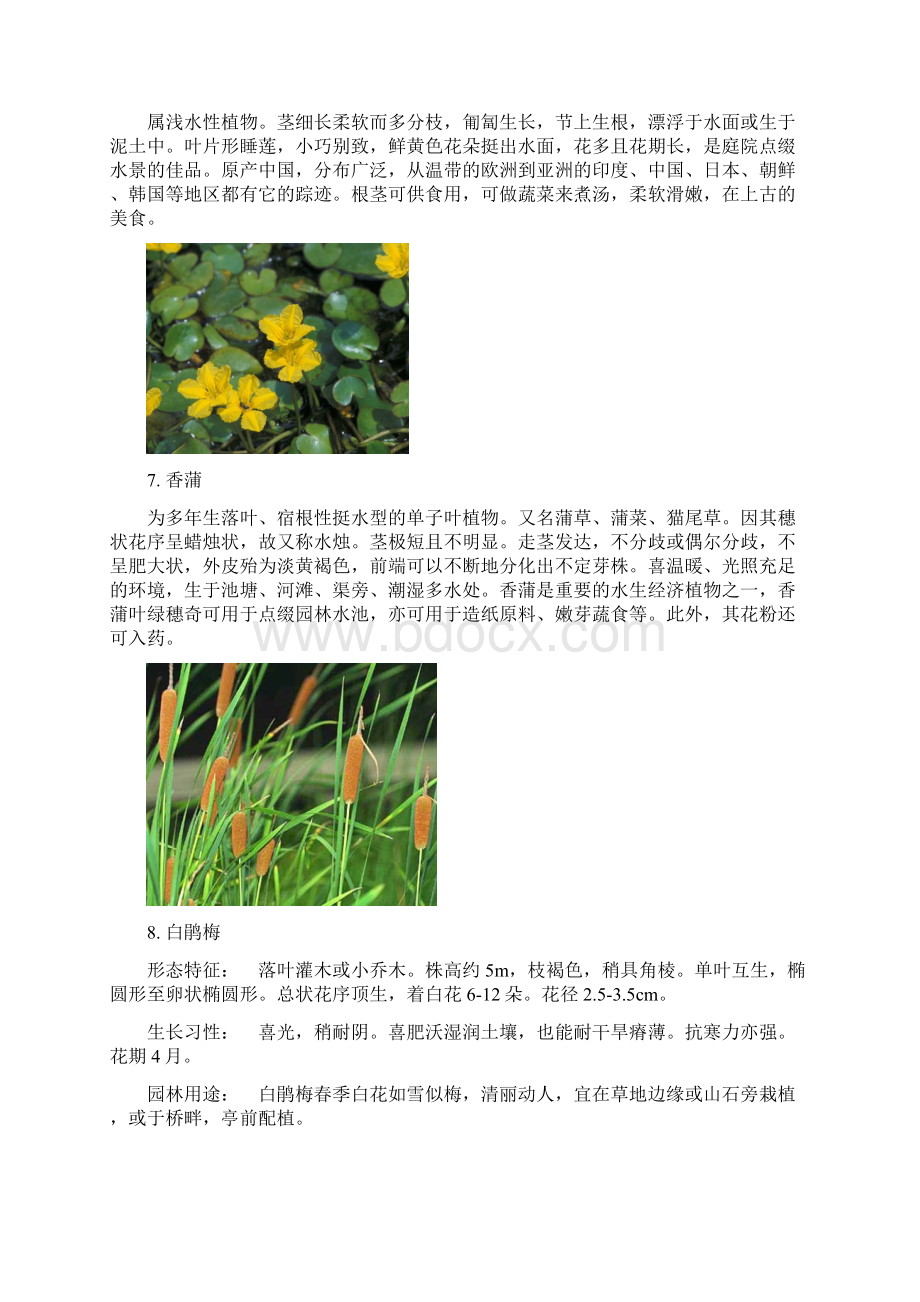 植物Word格式文档下载.docx_第3页