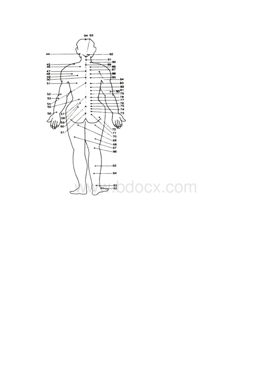 人体背部拔罐穴位图.docx_第3页