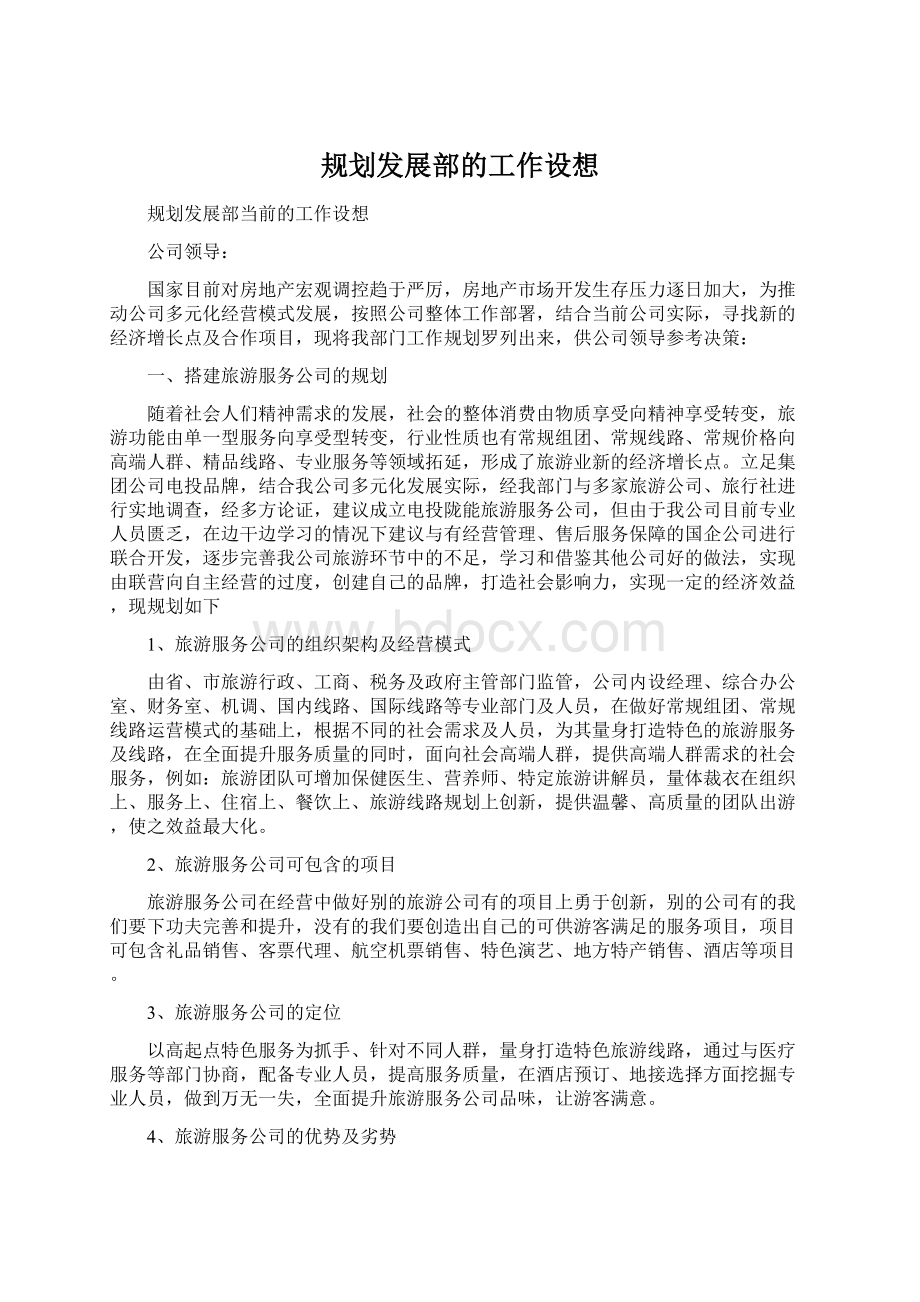 规划发展部的工作设想Word文档格式.docx