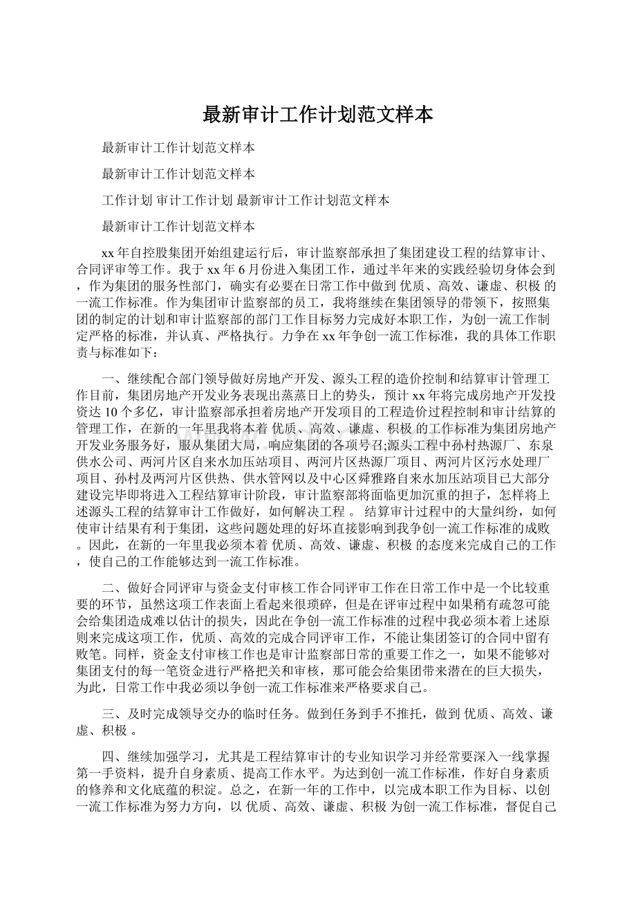 最新审计工作计划范文样本Word文件下载.docx