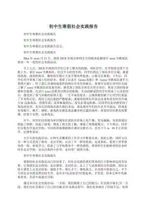 初中生寒假社会实践报告Word文档格式.docx