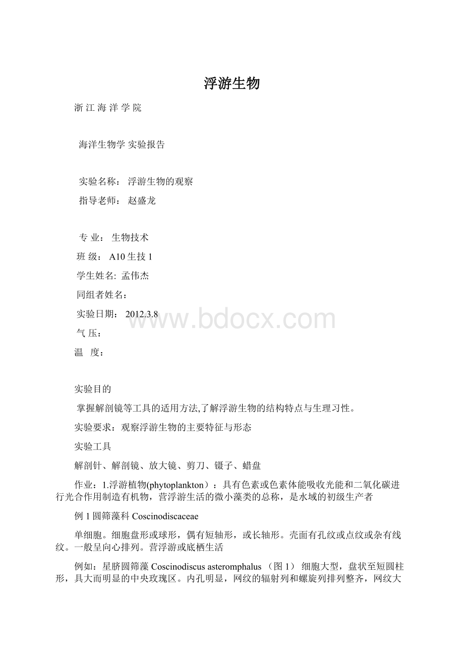 浮游生物Word格式.docx