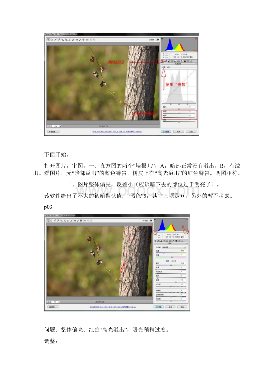 简单RAW格式照片处理方法.docx_第2页