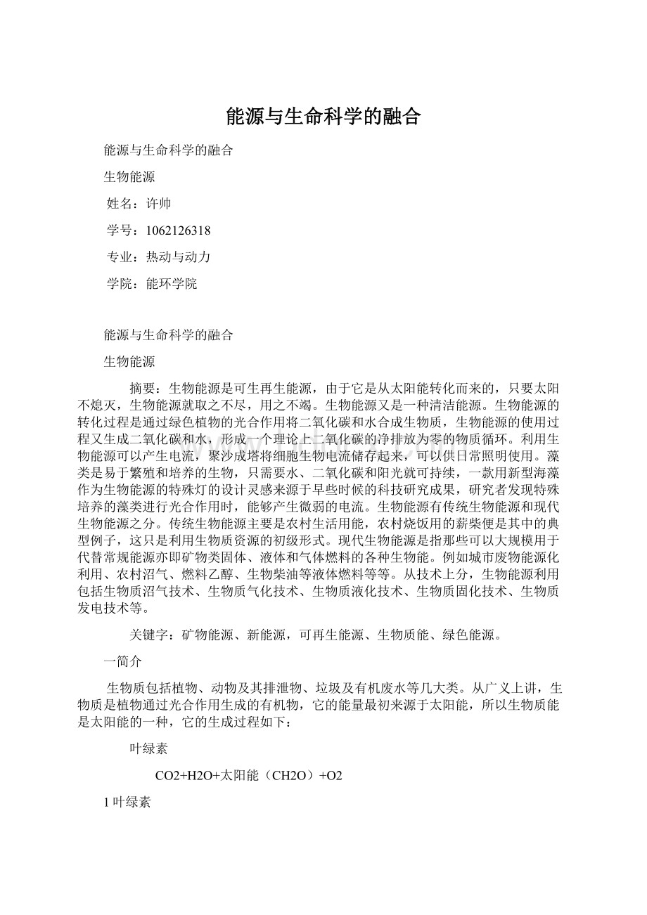 能源与生命科学的融合.docx_第1页