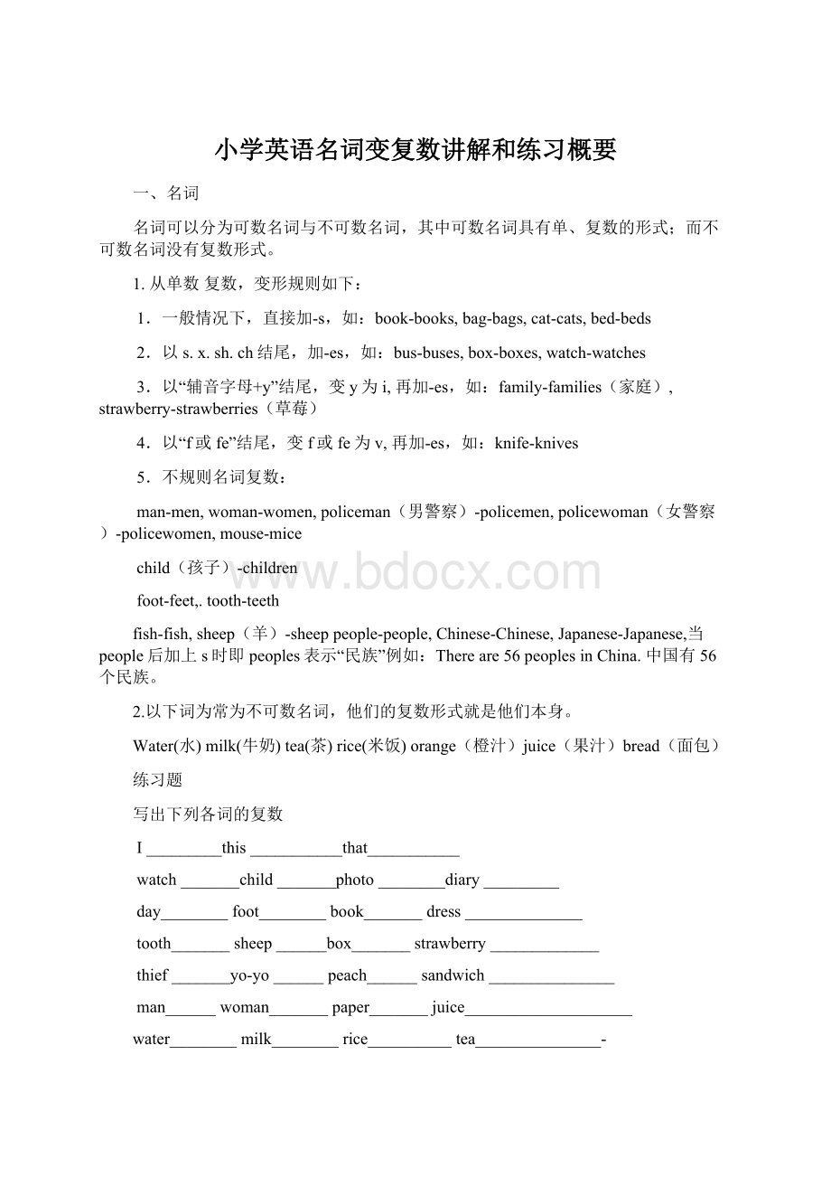 小学英语名词变复数讲解和练习概要Word格式文档下载.docx