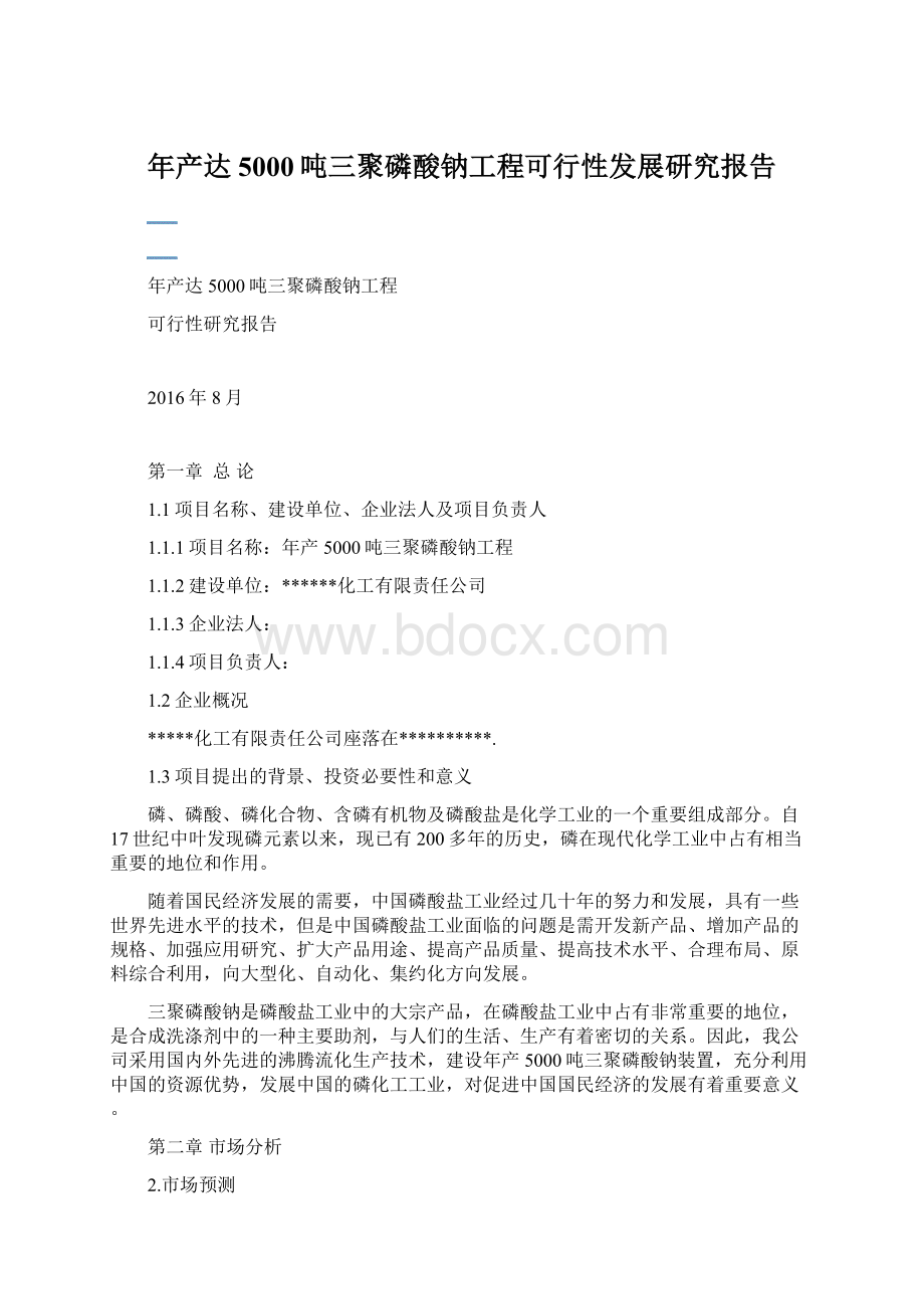 年产达5000吨三聚磷酸钠工程可行性发展研究报告Word文档格式.docx