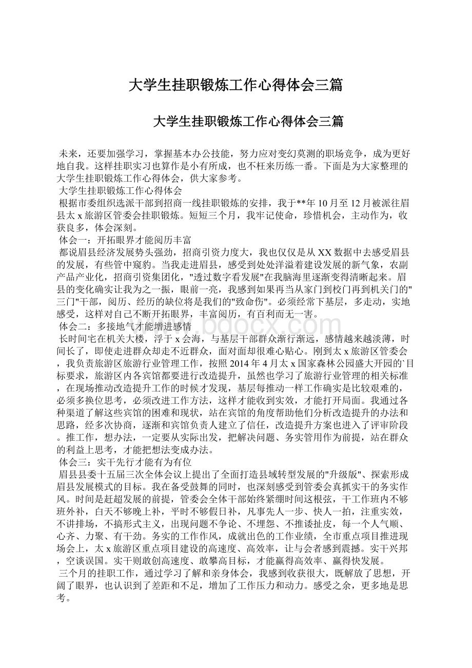 大学生挂职锻炼工作心得体会三篇文档格式.docx