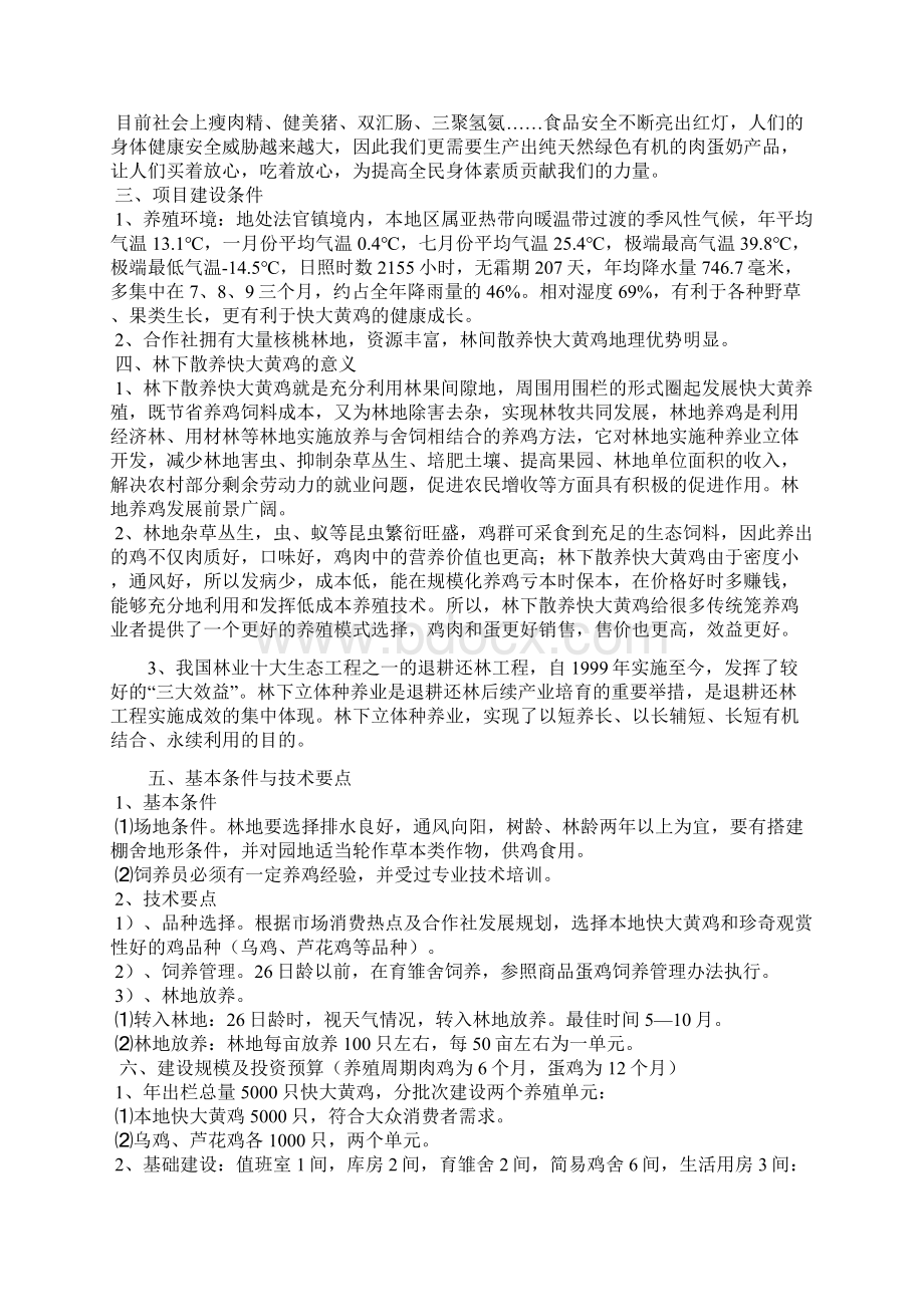 5000只林下散养快大黄鸡建设项目可行性研究报告.docx_第2页