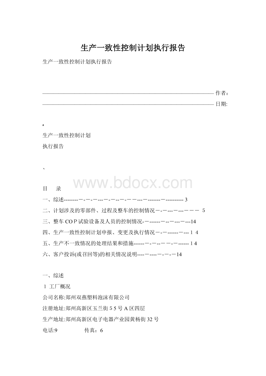 生产一致性控制计划执行报告Word格式.docx