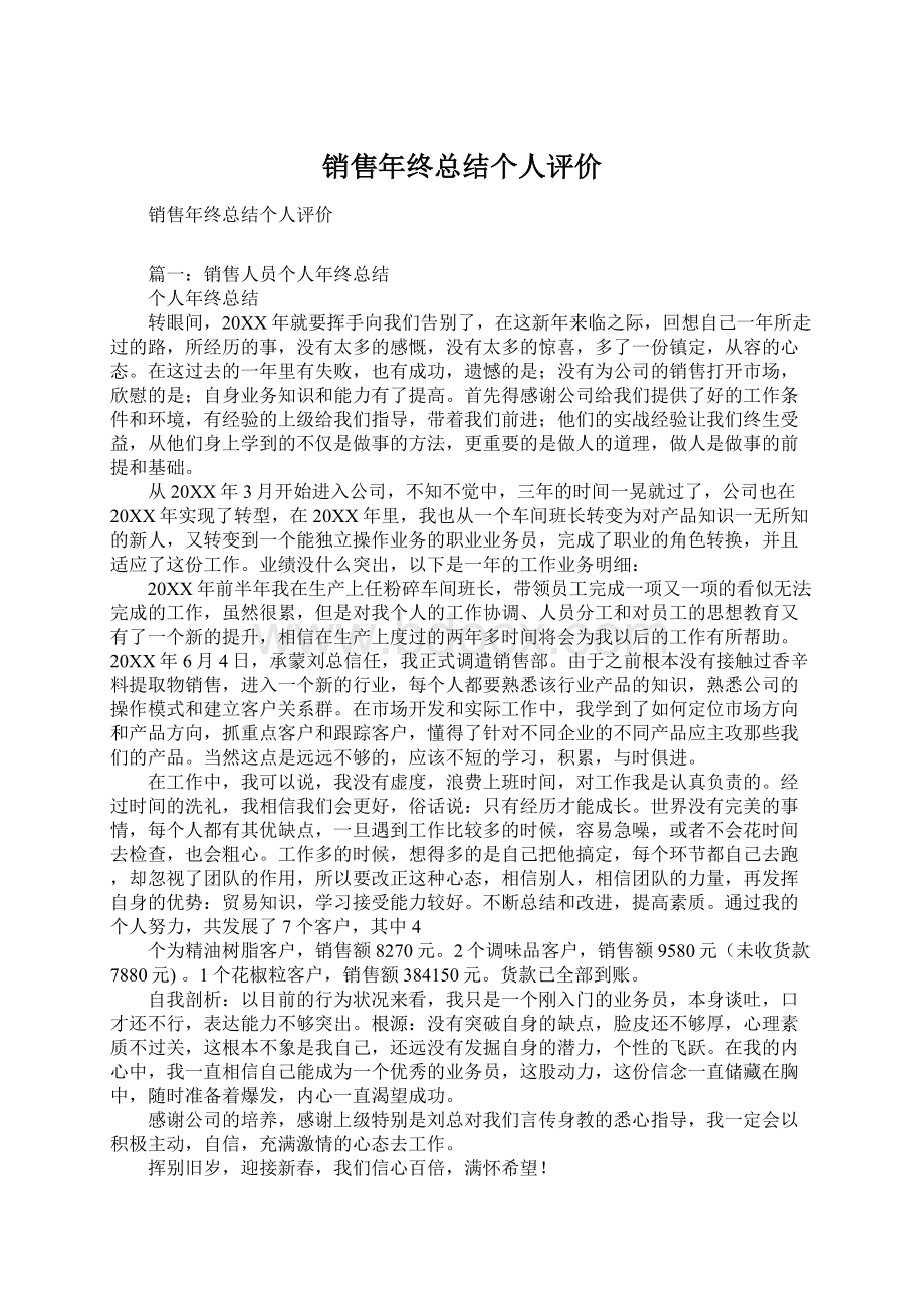 销售年终总结个人评价Word文件下载.docx