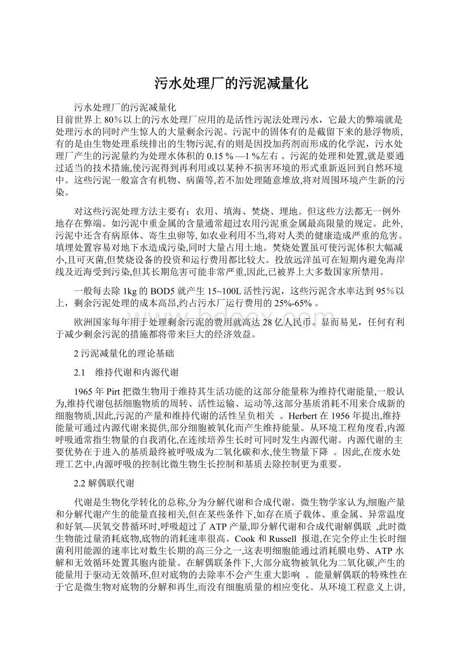 污水处理厂的污泥减量化.docx_第1页