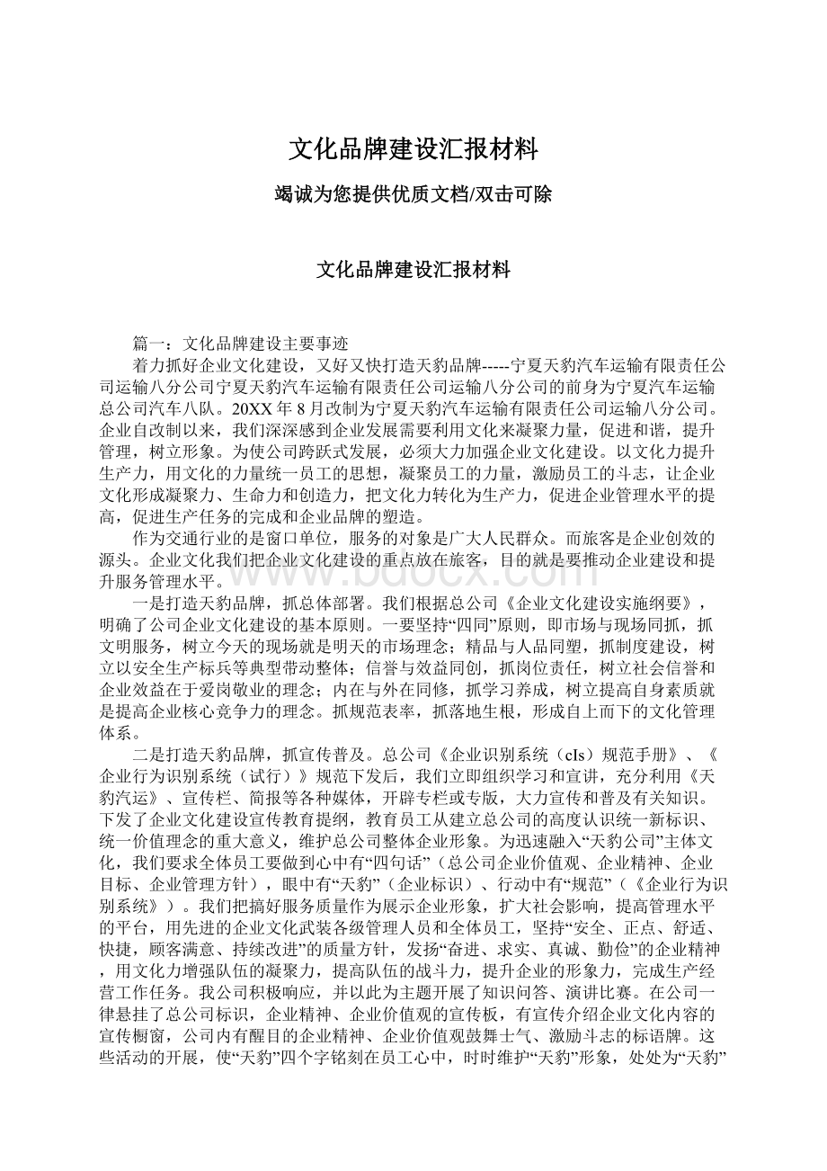 文化品牌建设汇报材料文档格式.docx_第1页