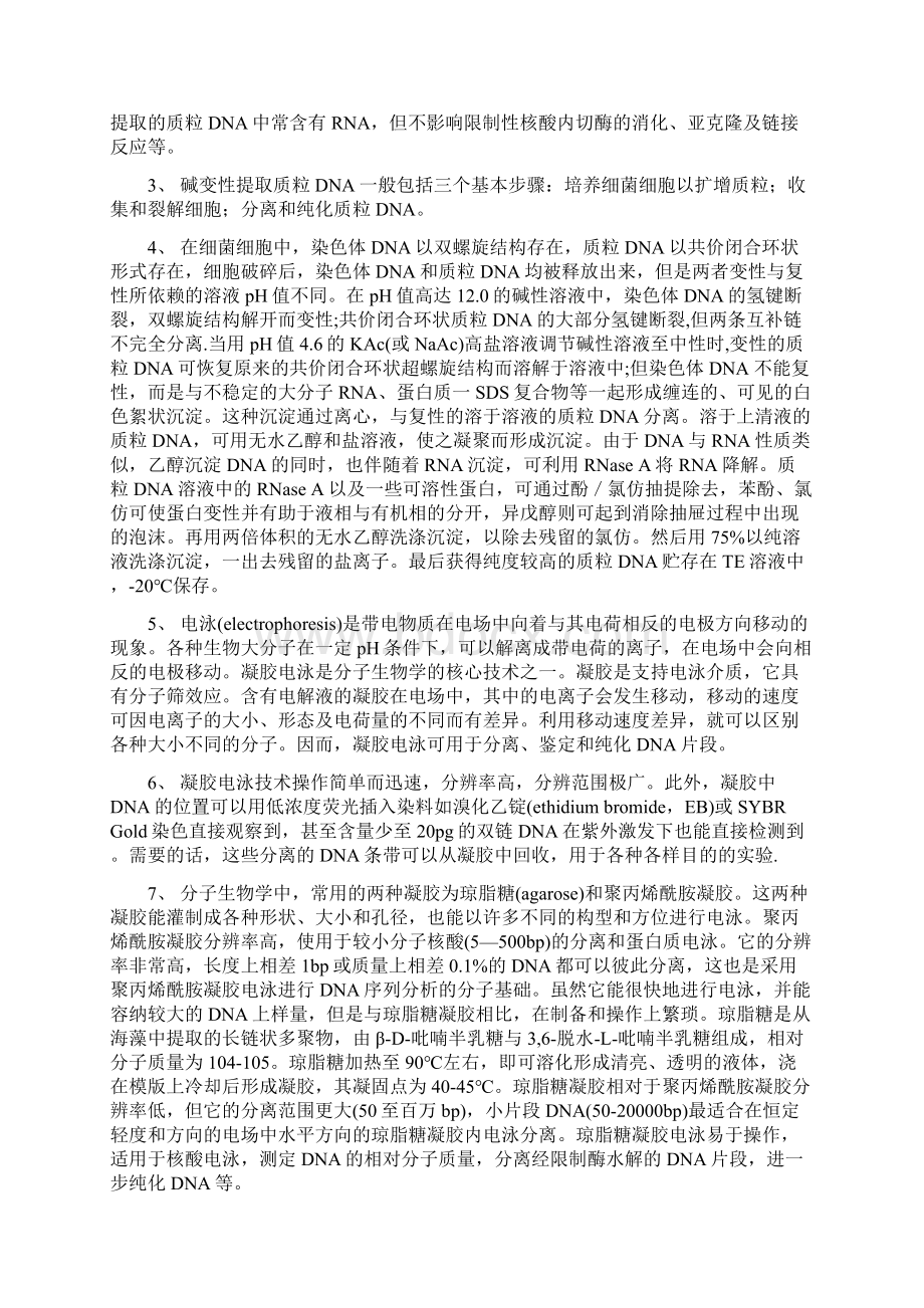 质粒DNA的提取郑小煜Word格式.docx_第2页